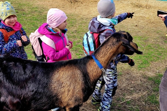 Poznáváme svět zvířat zblízka Poznáváme svět zvířat zblízka 1