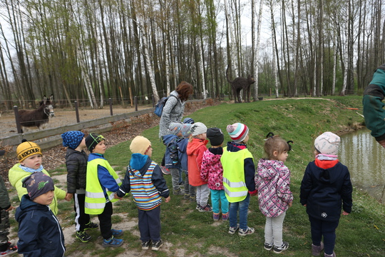  „VÍM, CO JÍM, MAMINKO, TATÍNKU!“ 4. ročník podpořený dotačním programem města Varnsdorf (projektový týden) 1