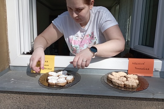 Sázíme stromy, keře a byliny na školní zahradě 1