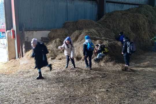 Za zvířaty na Rodinnou farmu Suchý ve Slavětíně Za zvířaty na Rodinnou farmu Suchý ve Slavětíně 1