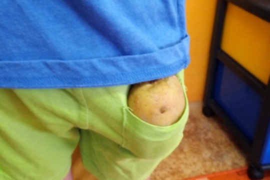 Bramborový den 1