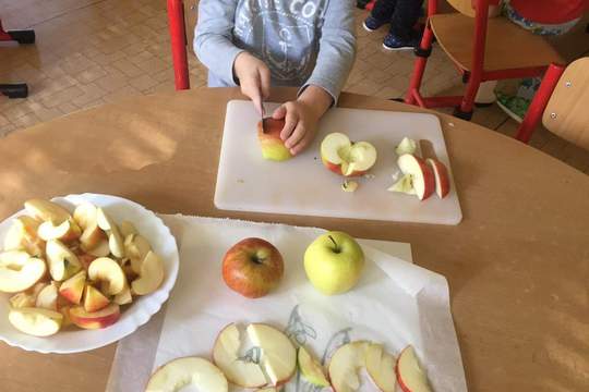 Ovoce a zelenina ve třídě Ptáček - MŠ Klegova 1