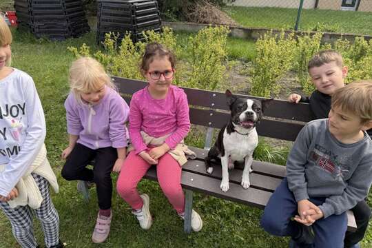 Zvířátka – ať už plastová, plyšová, živá nebo kreslená 1
