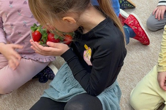 Ovoce a naše smysly  1