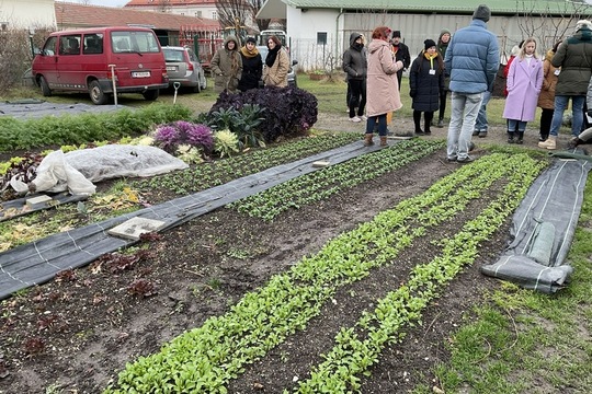 Regionální setkání partnerů a škol v projektu SchoolFood4Change ve Vídni 1