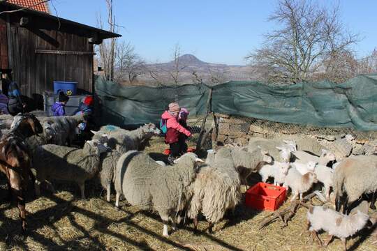 "Výlet na kozí a ovčí farmu" 1