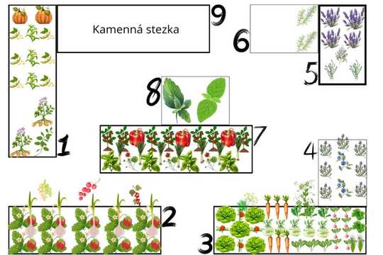 Zaseli jsme semínko 1