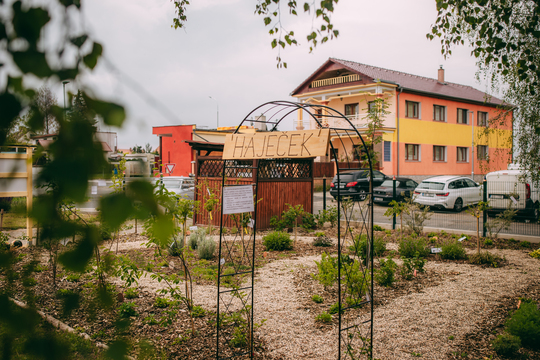 Slavnostní otevření "Jedlé školní zahrady" 1