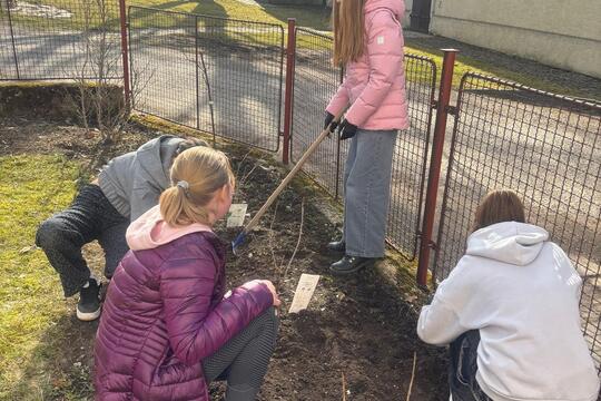 Zahrada se probouzí  1