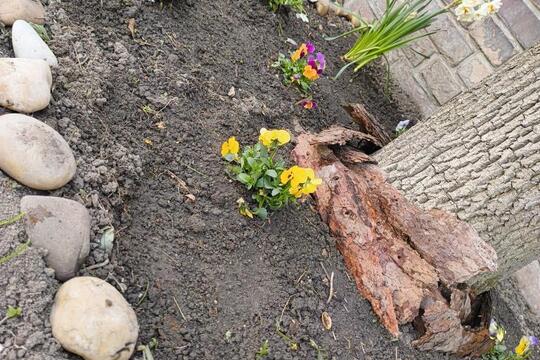 JARO na školní ZAHRÁDCE  1