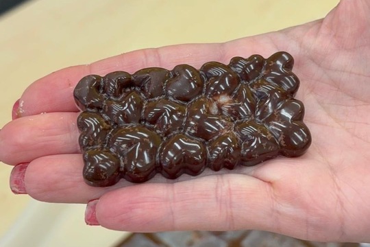 Vlastní domácí čokoláda  1