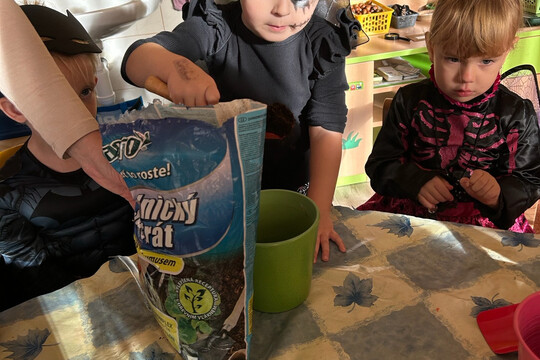 Péče o bylinky z hydroponické zahrádky Péče o bylinky z hydroponické zahrádky 1