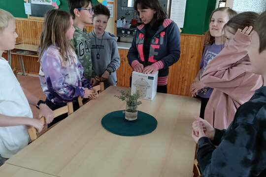 Pickles kvašená zelenina 1