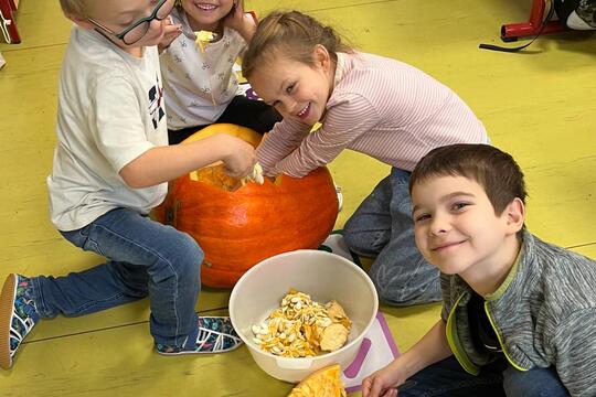 Úroda na naší zahrádce  1