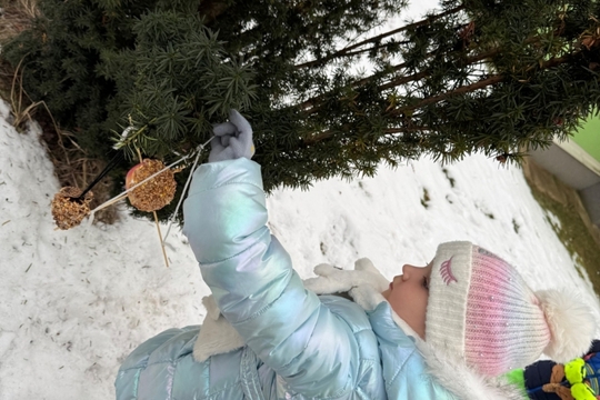 Berušky a Motýlci z MŠ Kollárova - Krmítka pro ptáčky 1