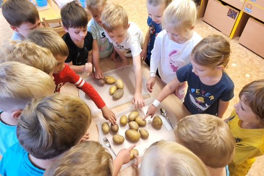 Vaříme brambory - Sluníčka 1