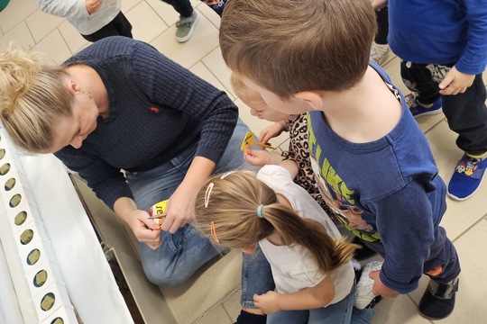 Berušky z MŠ Kollárova sází bylinky do hydroponické zahrádky 1