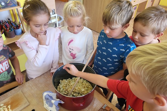 Jablíčkový kompot - Sluníčka 1