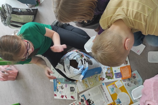 Třídění odpadu Třídění odpadu 1