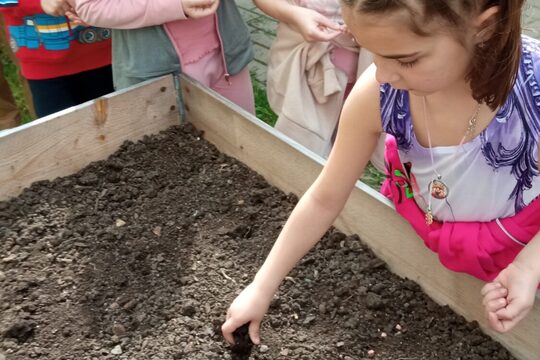 Klimatická zahrada Klimatická zahrada 1