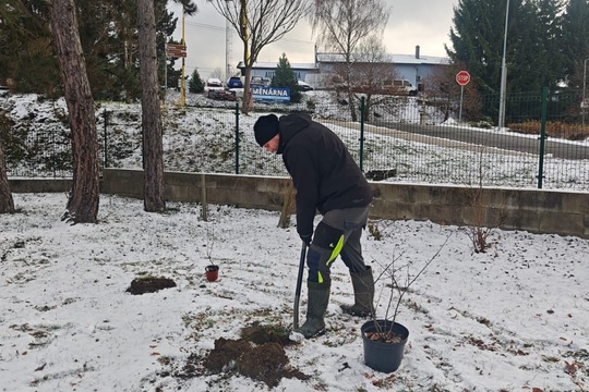 ROZŠIŘUJEME NAŠI JEDLOU ŠKOLNÍ ZAHRADU ROZŠIŘUJEME NAŠI JEDLOU ŠKOLNÍ ZAHRADU 1