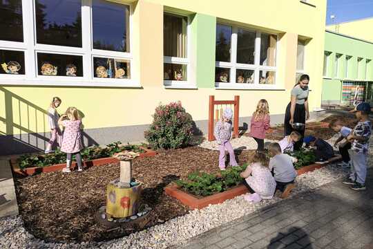 Odpolední sklizeň ze školní zahrady. Odpolední sklizeň ze školní zahrady. 1