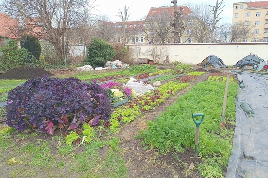 Informace z MŠ Motýlek ze setkání zástupců zapojených škol  do projektu SchoolFood4Change ve Vídni 1