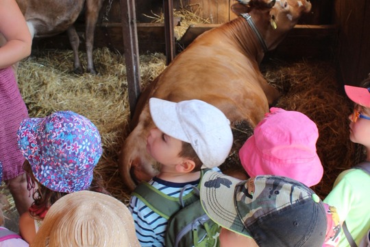  DĚTI Z MŠ MÁNESOVA KROMĚŘÍŽ NA VÝLETĚ ZA ZVÍŘÁTKY 1