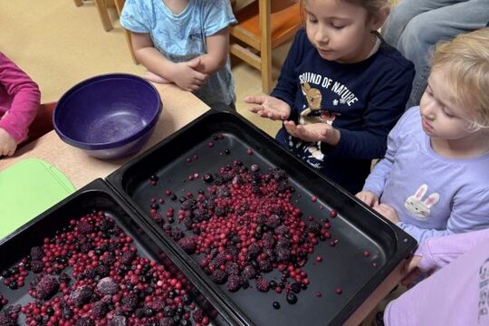 Vánoční Letovice jinak 1