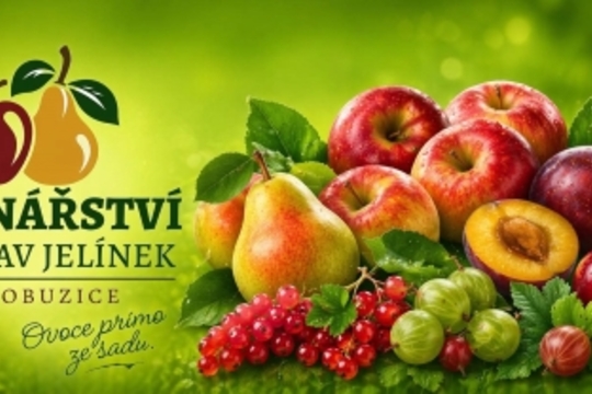 Švestkové knedlíky s tvarohem a BIO mákem Švestkové knedlíky s tvarohem a BIO mákem 1