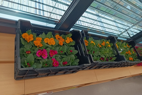 Pomazánky z rukou dětí 1