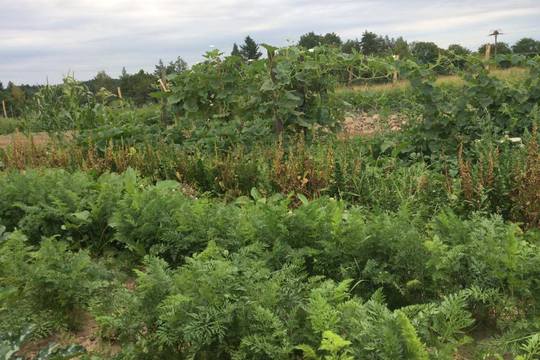 Vzdělávací den na Rodinné farmě Částkov u Žumberku  1