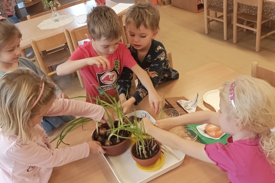 Třídní podzimní zahrádka plná vitamínů 1