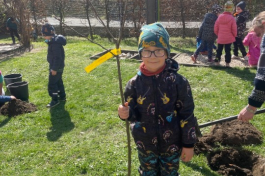 Sázení ovocných stromků a keřů 1