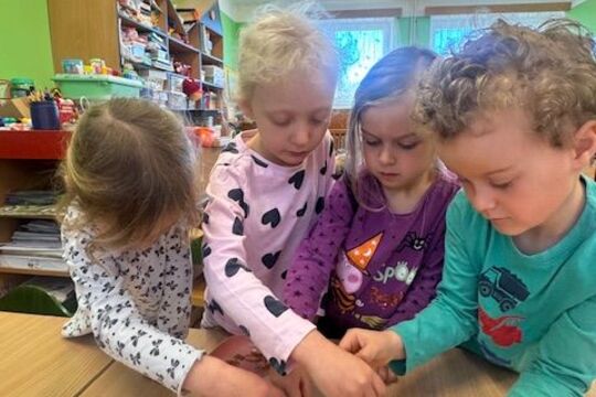 Microgreens - Sovičky 1