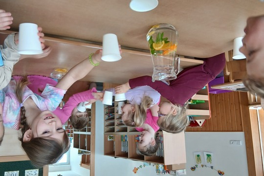 Domácí limonáda Domácí limonáda 1