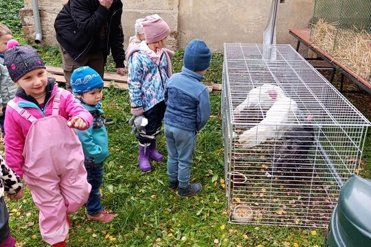  Den plný tvoření, zvířátek a zážitků 1