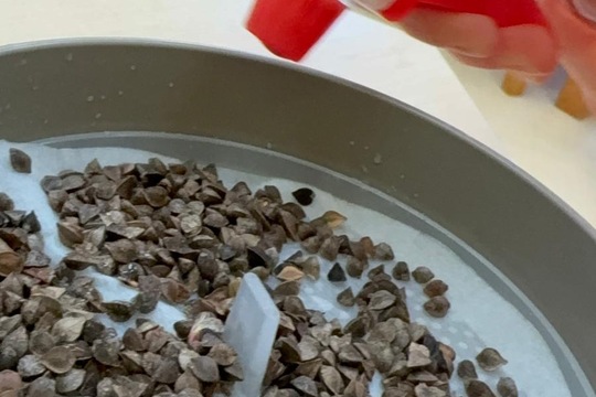 Naše oblíbená aktivita  1