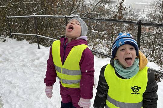 Sovičky z MŠ Dukelských hrdinů - Adventní kartičky Sněhová vločka na jazyku 1