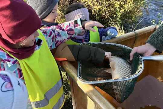 Výlov rybníka Výlov rybníka 1