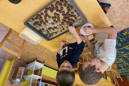 Příprava vánočního cukroví - Sluníčka 1