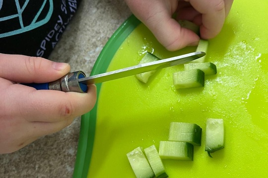 Doplňková aktivita KUCHTÍK a červíci  1
