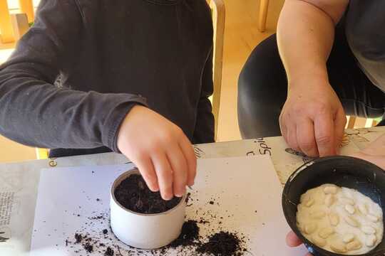 Sázíme, sázíme sazeničky  1