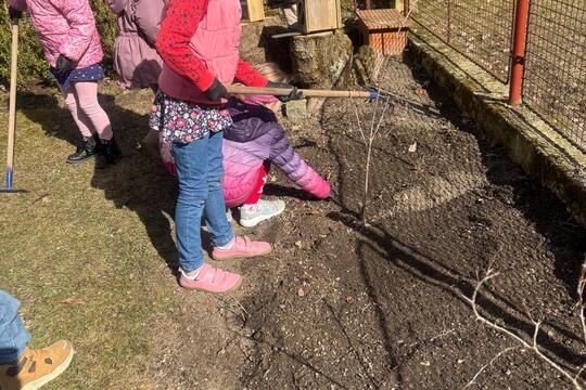 Zahrada se probouzí  1