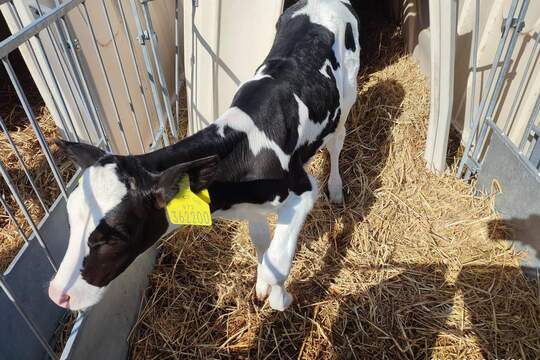 MŠ Mánesova Kroměříž na farmě 1