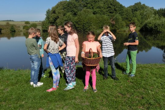 Regionální výstava ovoce,zeleniny a květin 2018 1