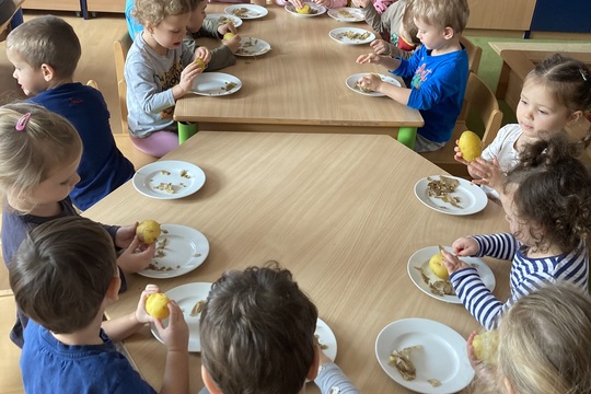 Brambory - Berušky 1