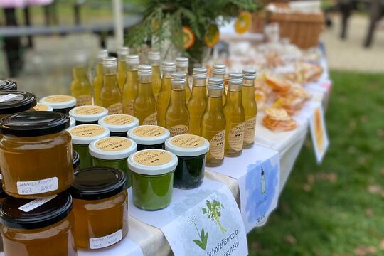 Podzimní svatomartinský jarmark  1