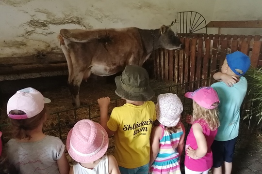 Exkurze na farmu Babiččin dvoreček 1