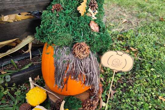 Podzimní slavnost - Jablka a řepa 1